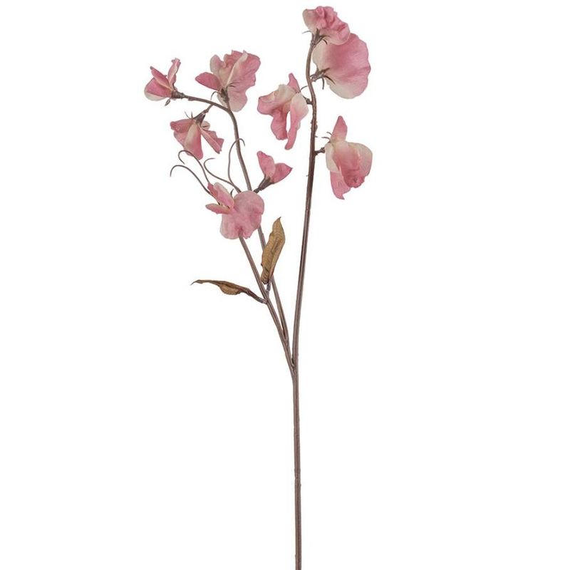 Erteblomst rosa