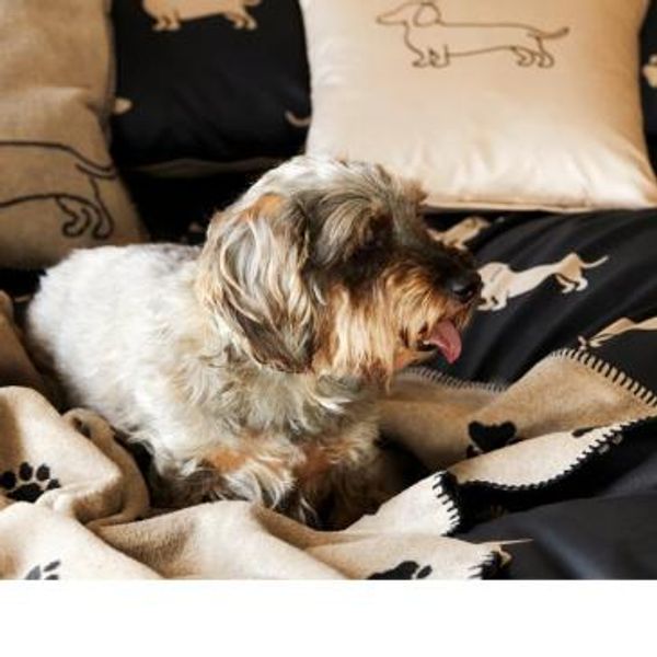 Dogs sort sateng sengesett fra Elegante